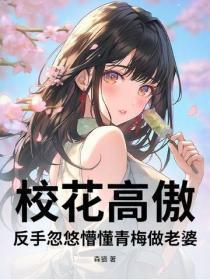 主人翁叫叶凡